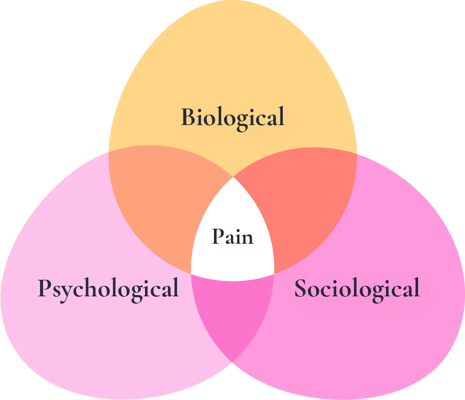 Blog Header - Pain is more than just biology@2x